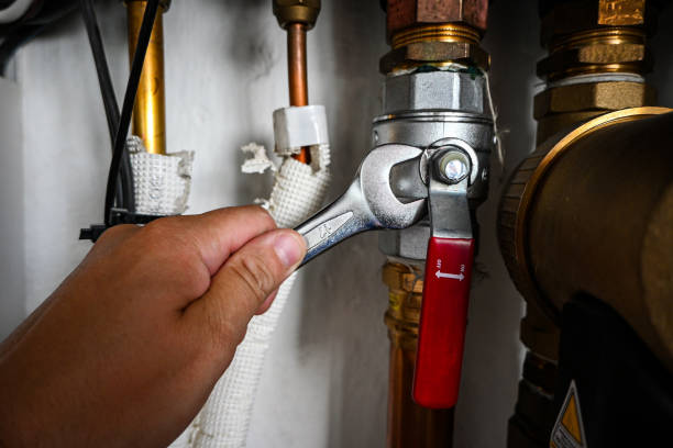 Best Plumbing Inspection Services  in Waukegan, IL